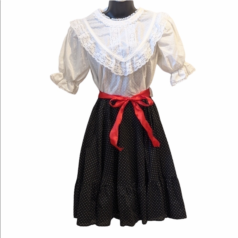 𝅺Vintage Jeri Bee Square Dance Dress sz 10 Prairie Western